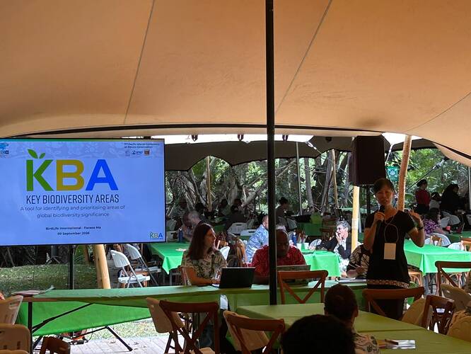 Presentation at Area Based Stream